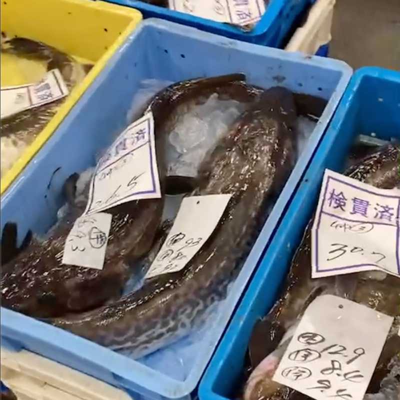 柏魚市場株式会社：鮮度抜群！函館の真鱈